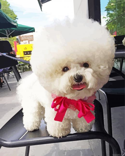 Cute White Fluffy Puppy Painting By Numberss.png