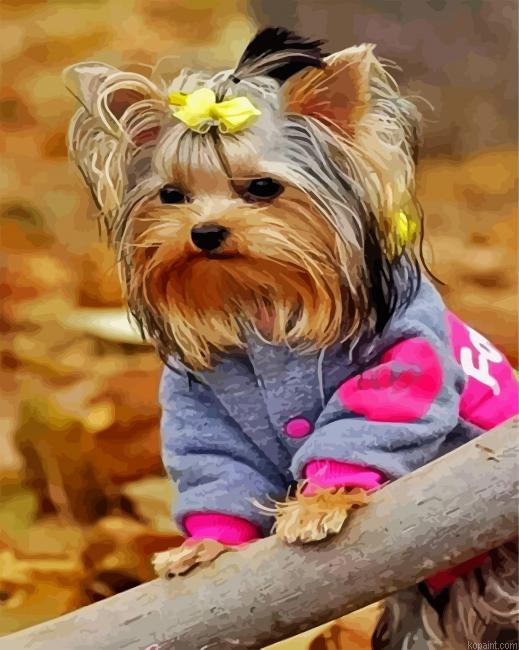 Cute Yorkie Puppy Paint by Numbers