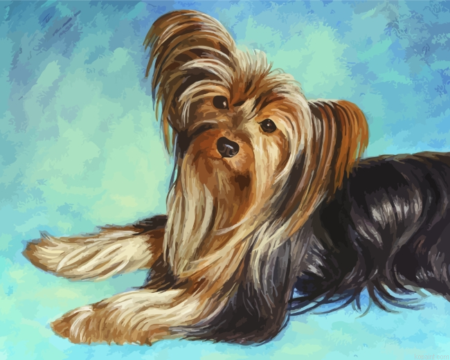 Cute Yorkshire Terrier Dog Painting By Numberss.png