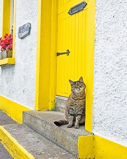 Cute Kitty Yellow Door New Painting By Numberss.png