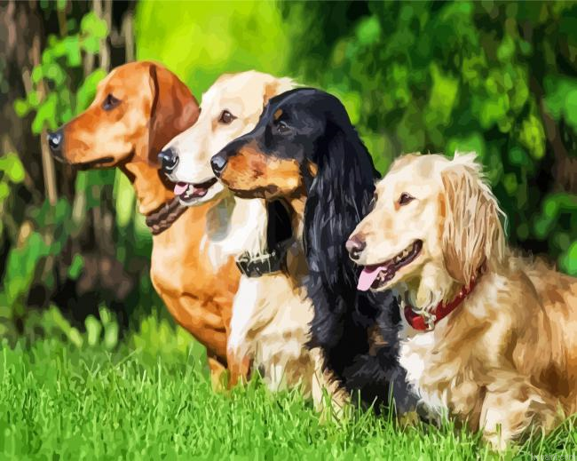 Dachshunds Dogs Animals Paint By Numbers.png