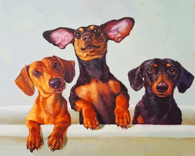 Dachshunds Dogs Painting By Numberss.png