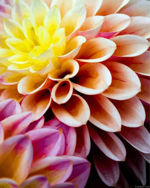 Dahlia Flower Painting By Numberss.png