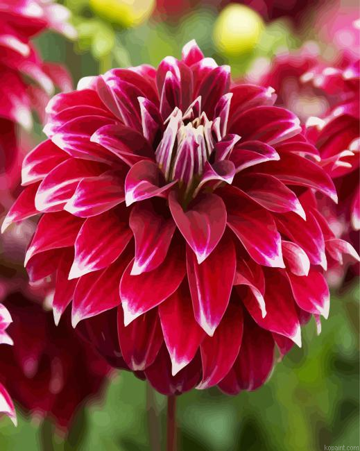 Dahlia Red Rock Painting By Numberss.png