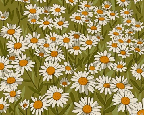 Daisy Field Illustration Painting By Numberss.png