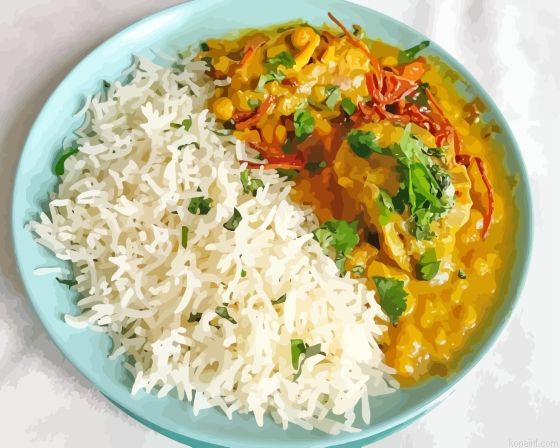 Dal Gosht Meat With Rice Painting By Numberss.png