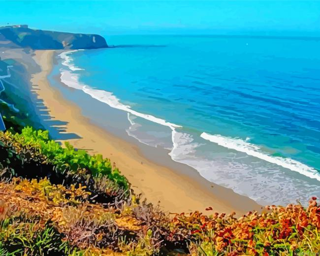 Dana Point California Painting By Numberss.png