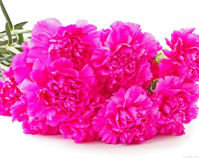 Dark Pink Carnation Painting By Numberss.png
