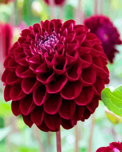Dark Red Dahlia Flower Painting By Numberss.png