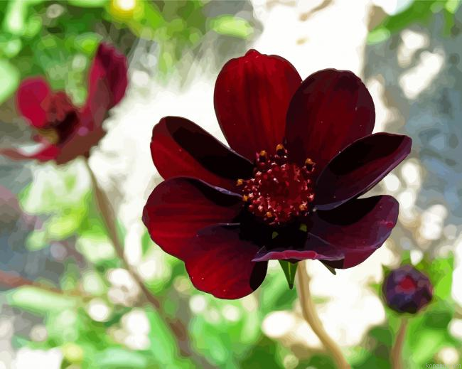 Dark Red Flowers Painting By Numberss.png