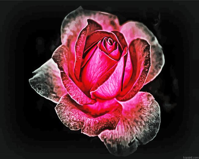 Dark Velvet Rose Paint By Numbers.png