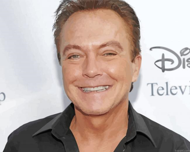 David Cassidy Painting By Numberss.png