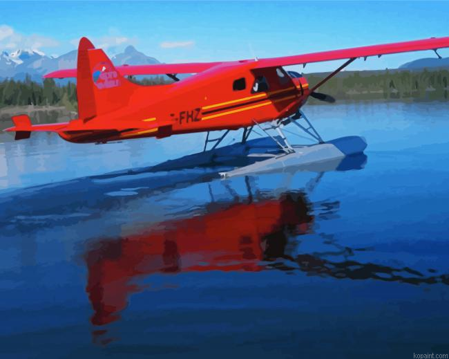 De Havilland Canada DHC2 Beaver Paint By Numbers
