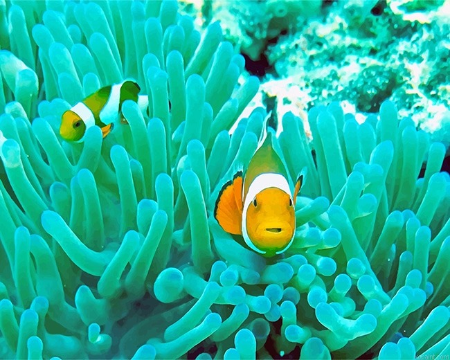 Deep Sea Yellow Fish Painting By Numberss.png