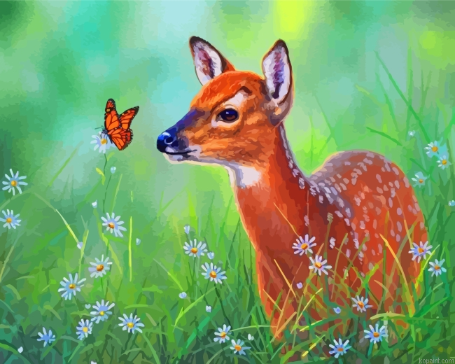 Deer And Butterfly Painting By Numberss.png