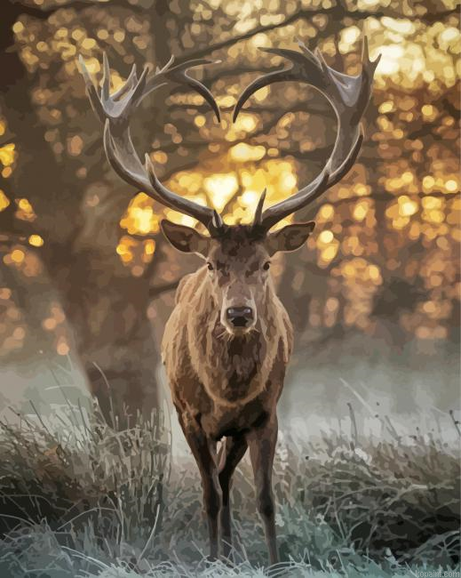 Deer Animal Heart Paint By Numbers