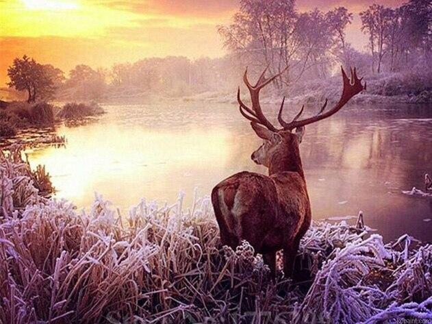 Deer By The River Animals Painting By Numberss.png