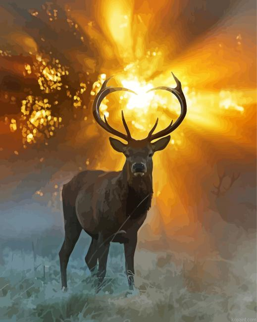Deer Heart Painting By Numberss.png