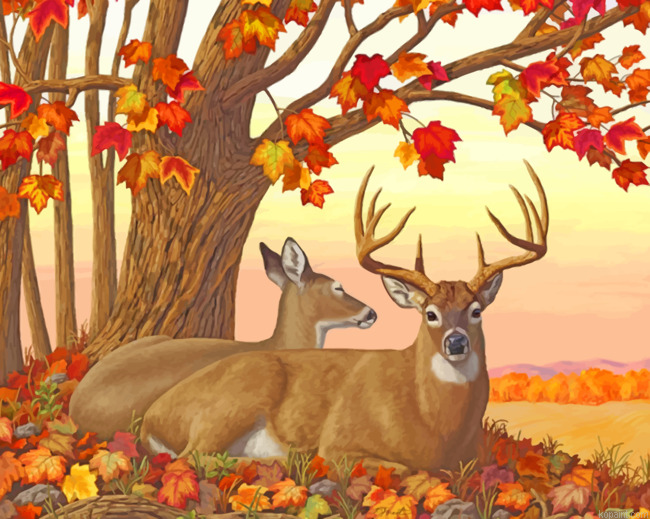Deer In Autumn Painting By Numberss.png
