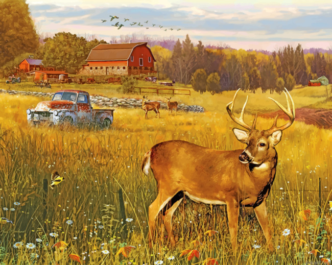 Deer In Farm Field Painting By Numberss.png