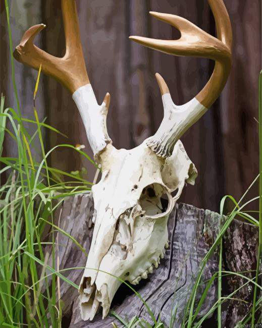 Deer Skull Art Painting By Numberss.png