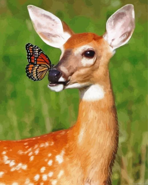 Deer With Butterfly Painting By Numberss.png