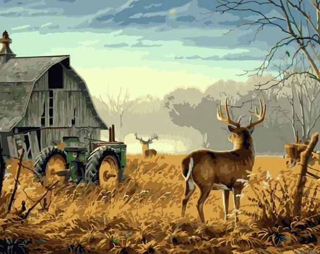 Deer On Farm Animals Painting By Numberss.png
