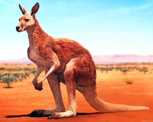 Desert Kangaroo Painting By Numberss.png