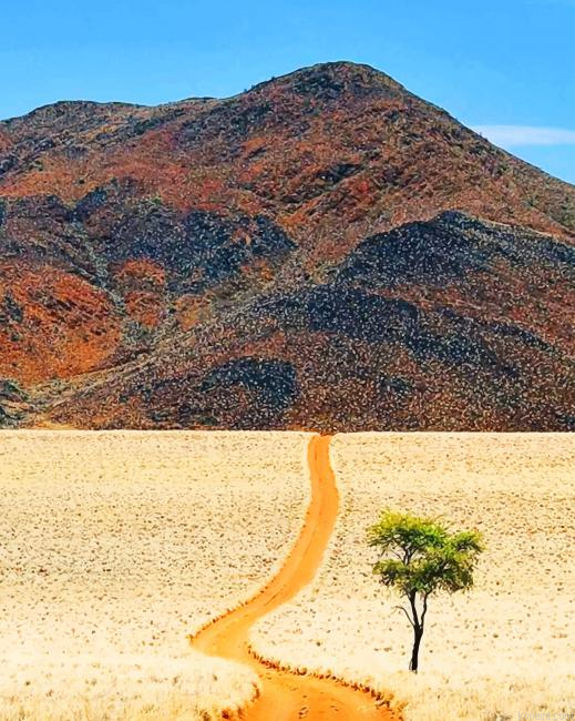 Desert Of Namibia New Painting By Numberss.png