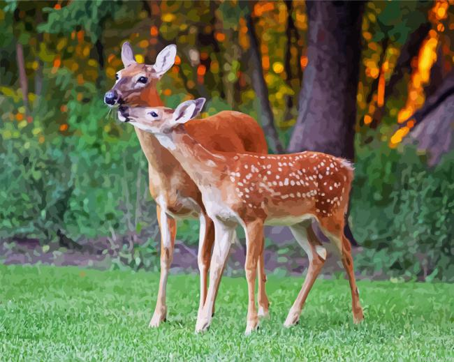 Doe Animals Painting By Numberss.png