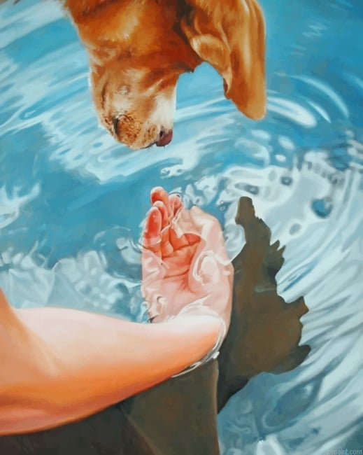 Dog Drinking Water New Painting By Numberss.png