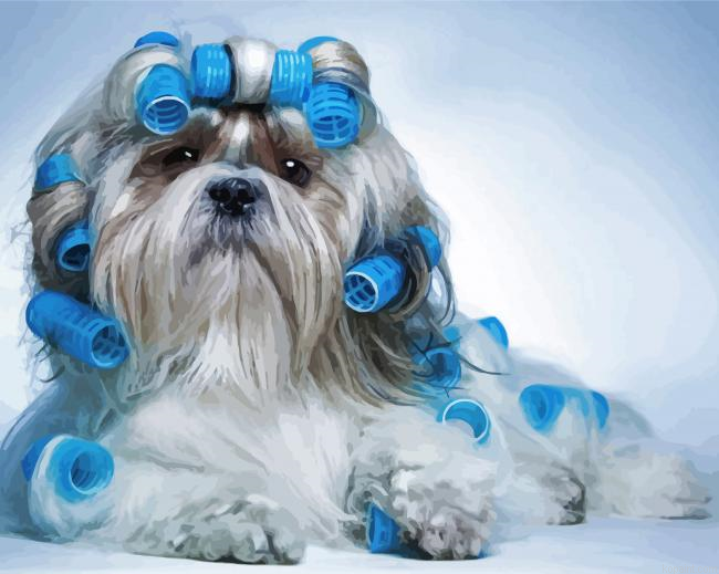 Dog Getting Hair Done Painting By Numberss.png