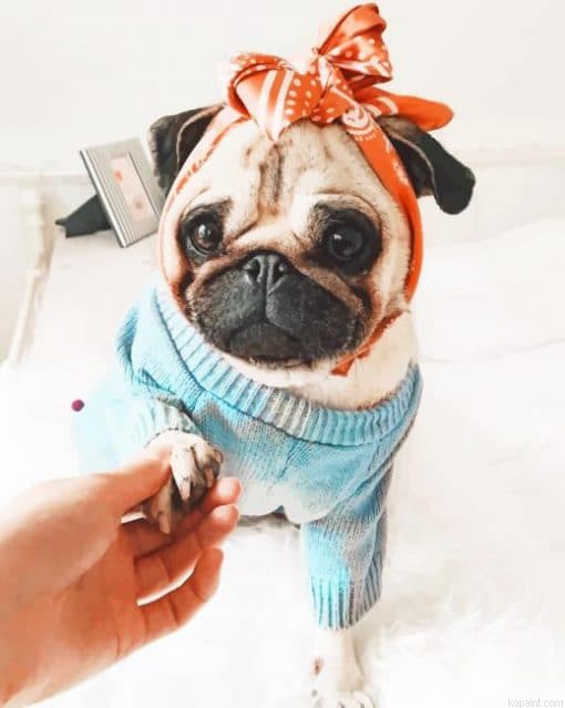Dog Girly Pug Painting By Numberss.png