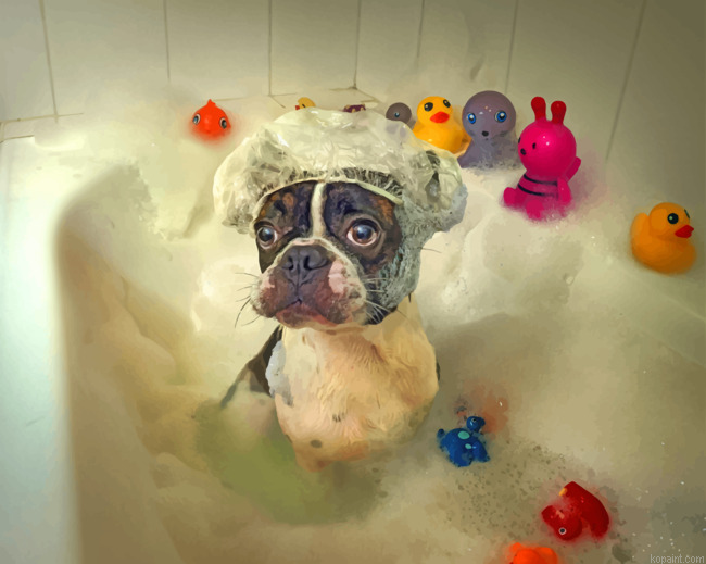 Dog In Bath Painting By Numberss.png