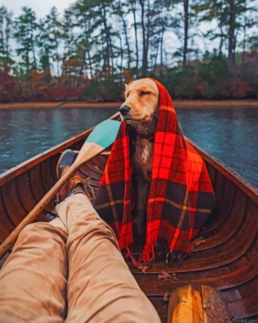 Dog In Boat With Blanket New Painting By Numberss.png
