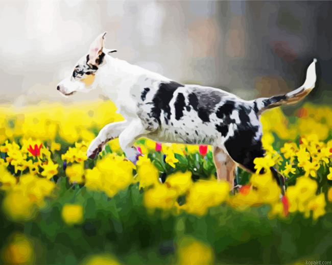 Dog In Flowers Paint By Numbers