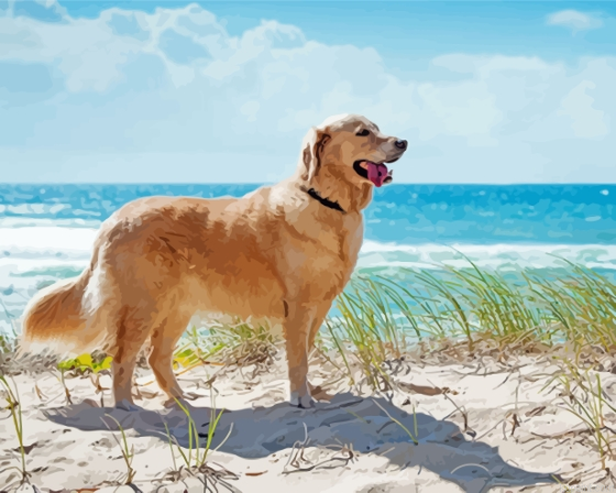 Dog In The Beach Painting By Numberss.png