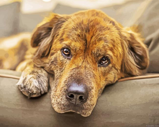 Dog On Couch Painting By Numberss.png