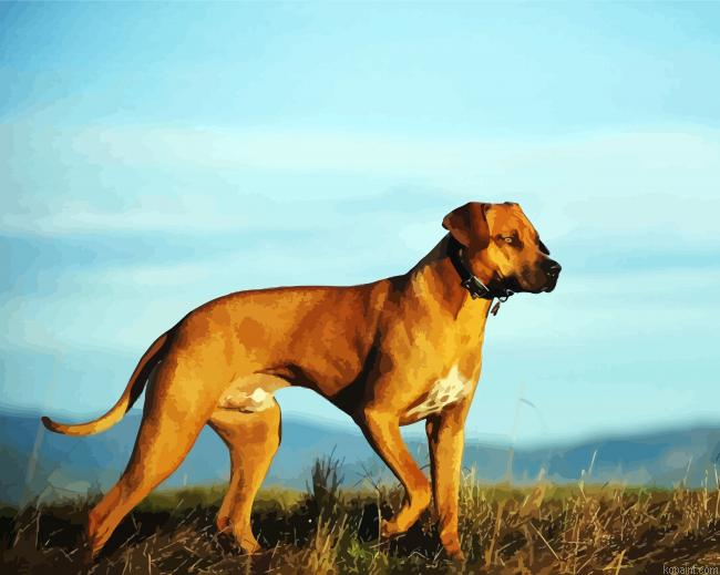 Dog Rhodesian Ridgeback Paint By Numbers.png