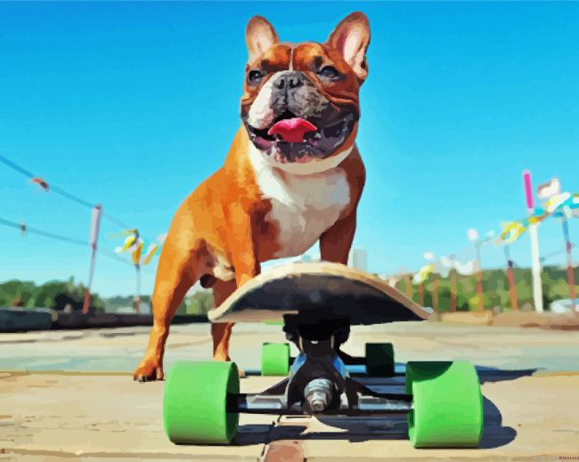 Dog Skateboard Painting By Numberss.png