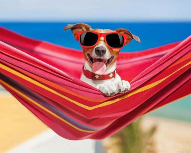 Dog Wearing Sunglasses Painting By Numberss.png