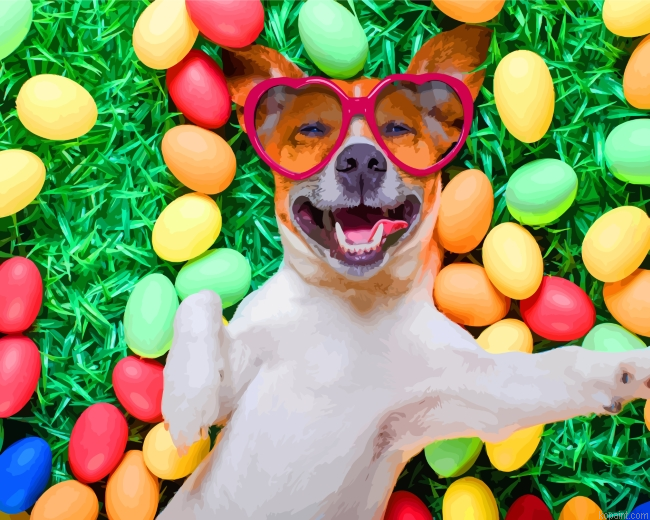 Dog With Sunglasses Painting By Numberss.png