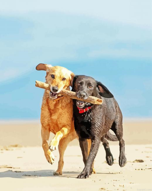 Dogs Playing On Beach Painting By Numberss.png