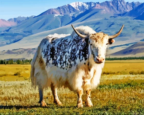 Domestic Yak Paint By Numbers