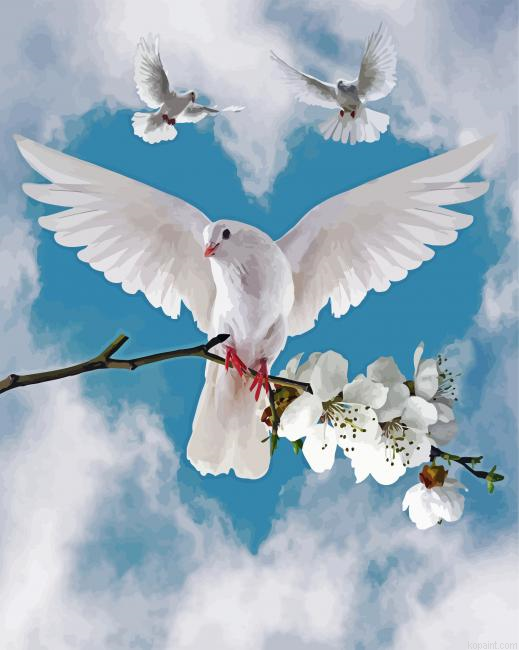 Dove Pigeon Bird Paint by Numbers
