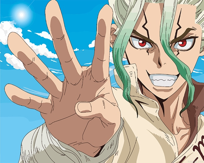 Dr Stone Senku Ishigami New Painting By Numberss.png