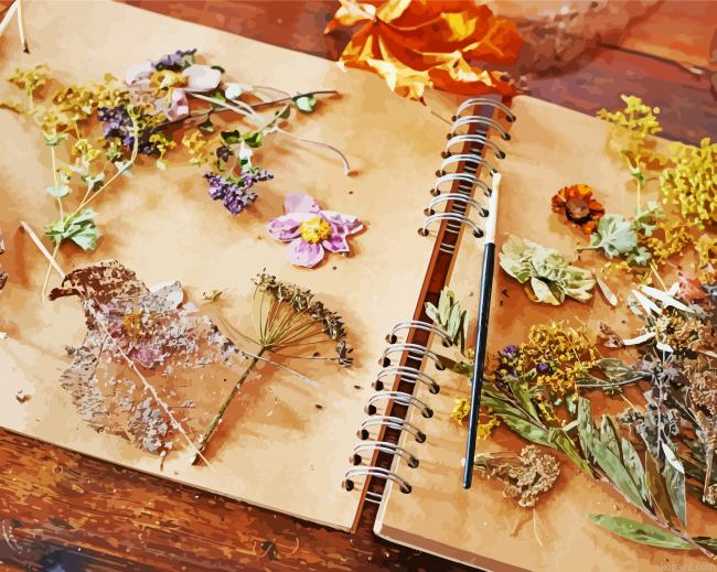 Dried Flowers And Herbs Painting By Numberss.png