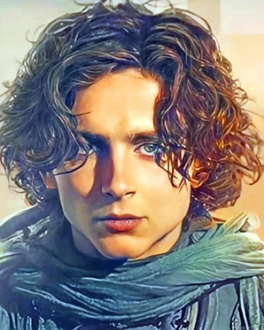 Dune Nation Rise Actors Painting By Numberss.png