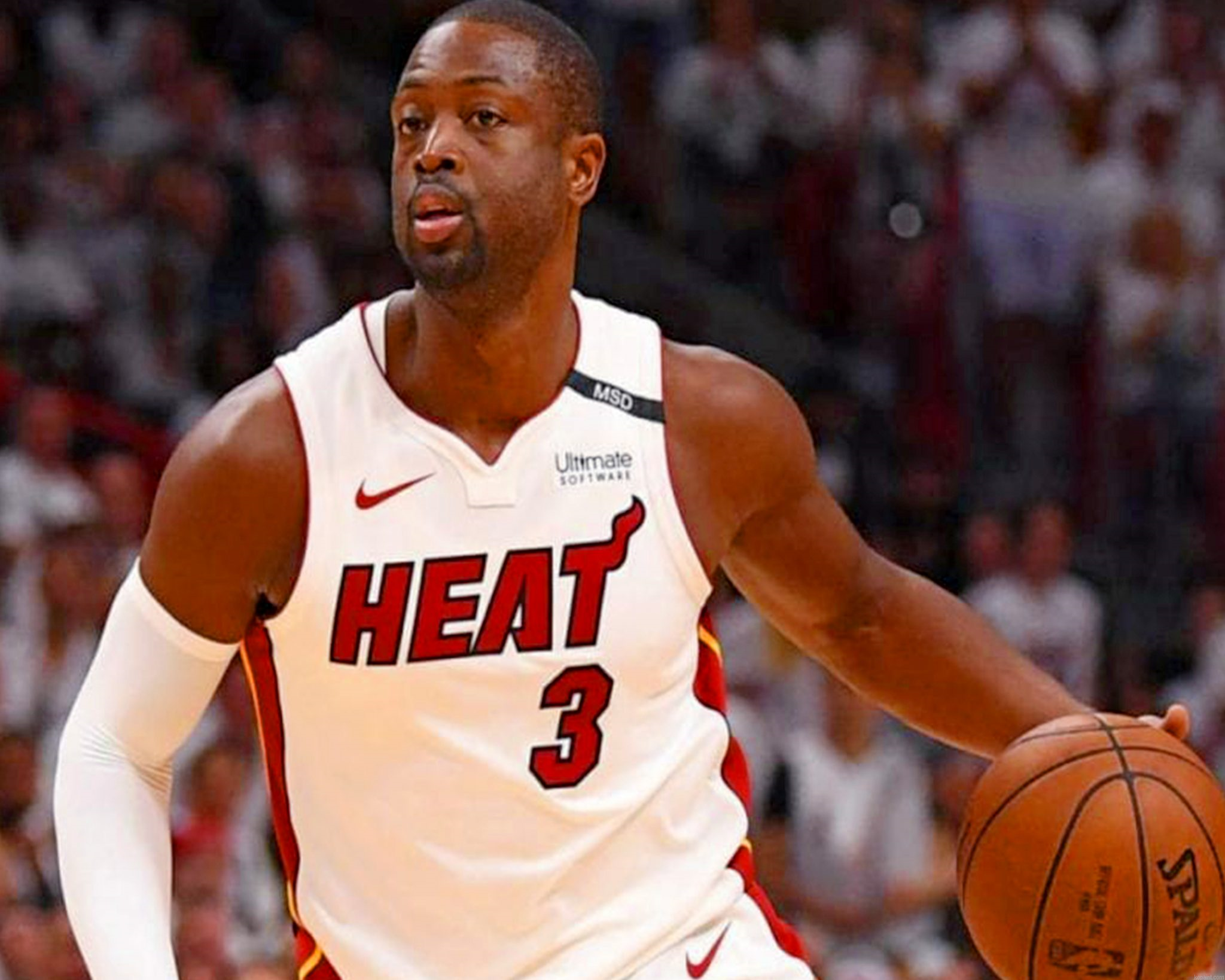 Dwyane Tyrone Wade Jr Painting By Numberss.png