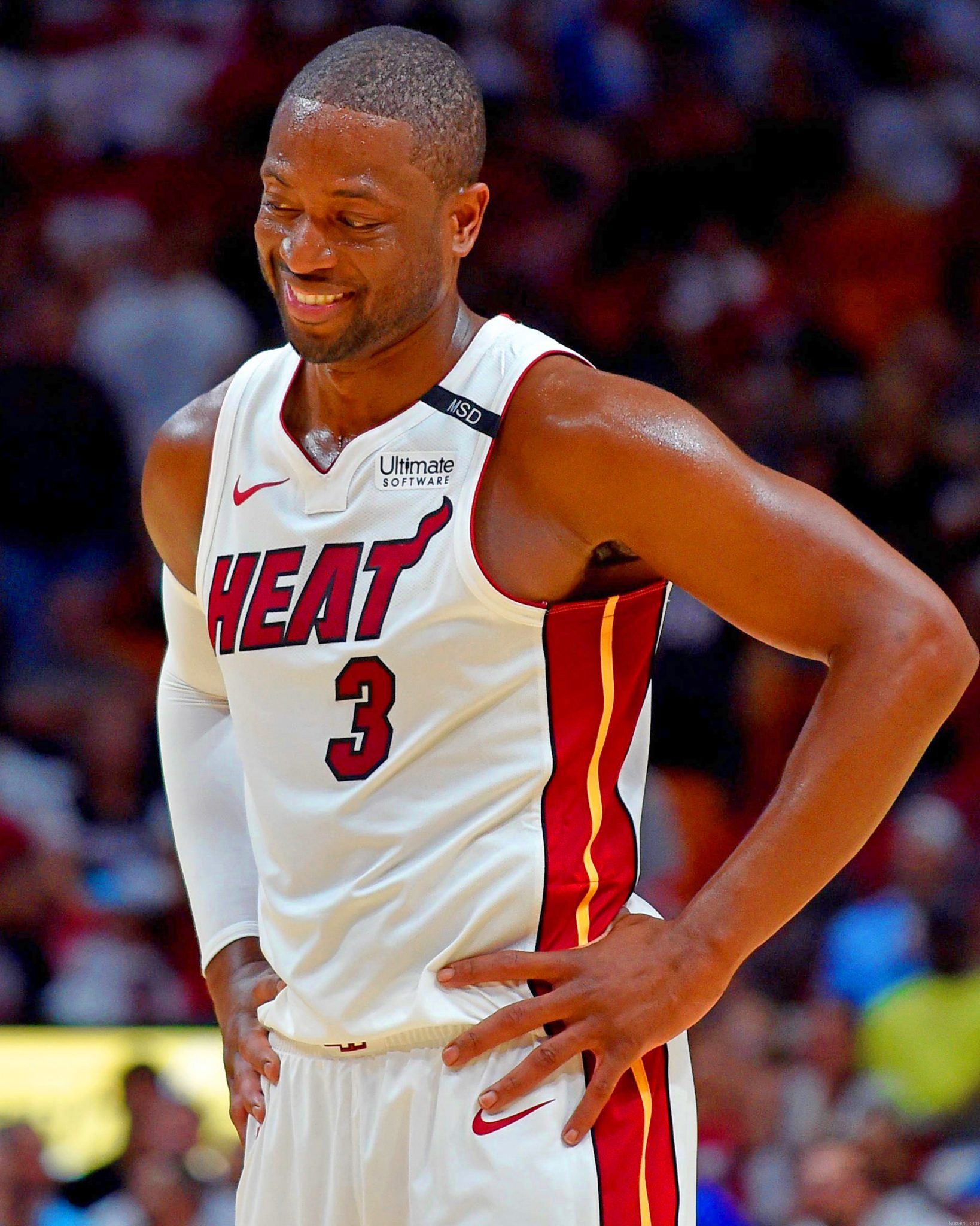 Dwyane Wade Jr Painting By Numberss.png